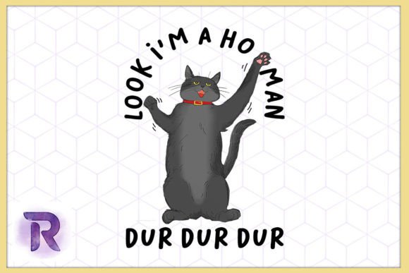 Look I m a HOOMAN Black Cat Embroidery Design Review
